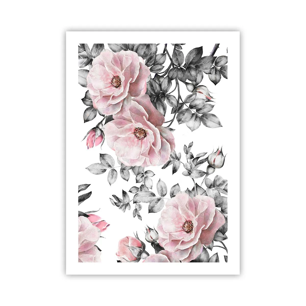 Póster - Rosas rosadas sobre un fondo de hojas blancas y negras. - 50x70cm - Entre las rosas - Decoración de pared moderna para salón y dormitorio ARTTOR