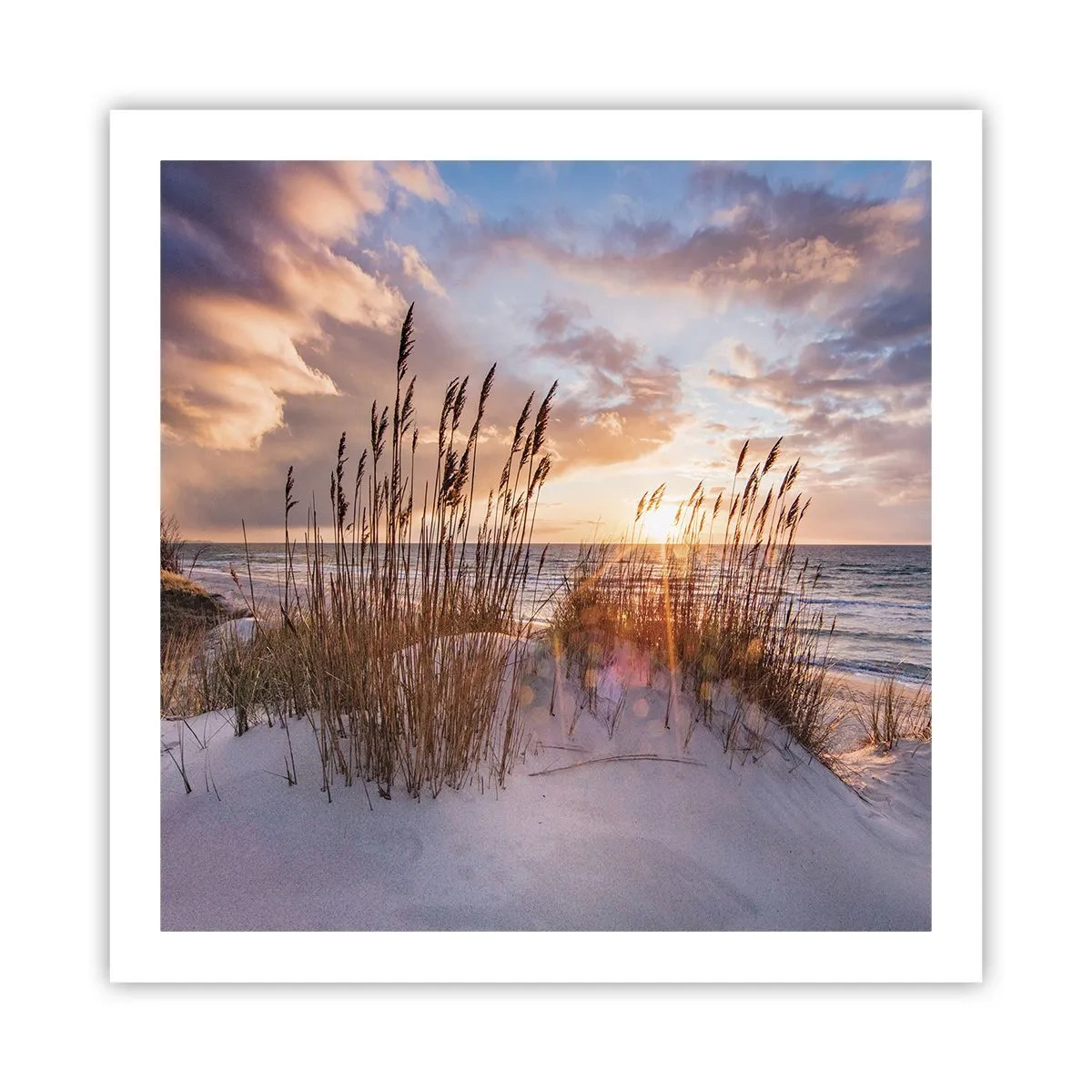 Póster - Adiós al sol y al viento - 60x60 cm