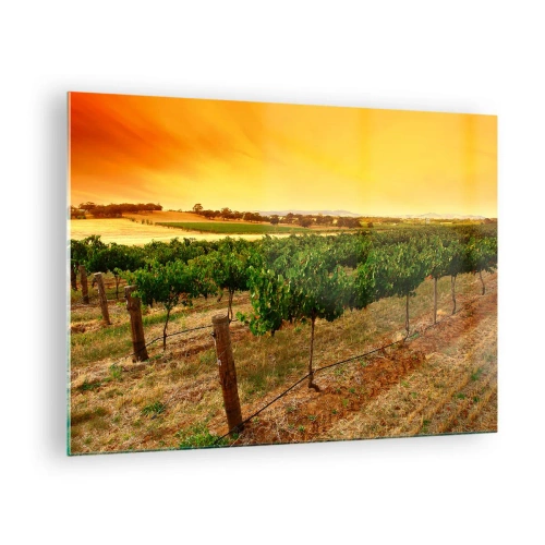 Cuadro sobre vidrio - Impresiones sobre Vidrio - Vides bajo la cálida luz del sol poniente - 70x50cm - Un trago del sol - Decoración de pared moderna para salón y dormitorio ARTTOR