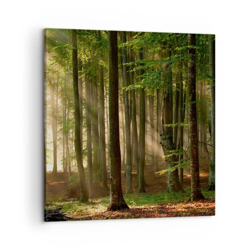 Cuadro sobre lienzo - Impresión de Imagen - Radiante en una mañana de primavera - 50x50 cm