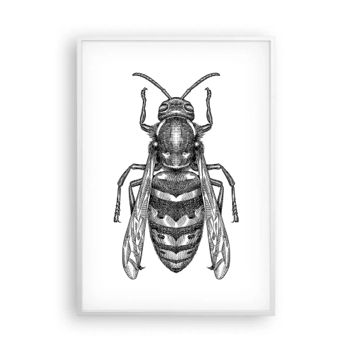 Póster en marco blanco - Desde un planeta de insectos - 70x100 cm