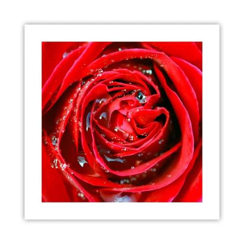 Póster - En gotas de rocío - 40x40 cm