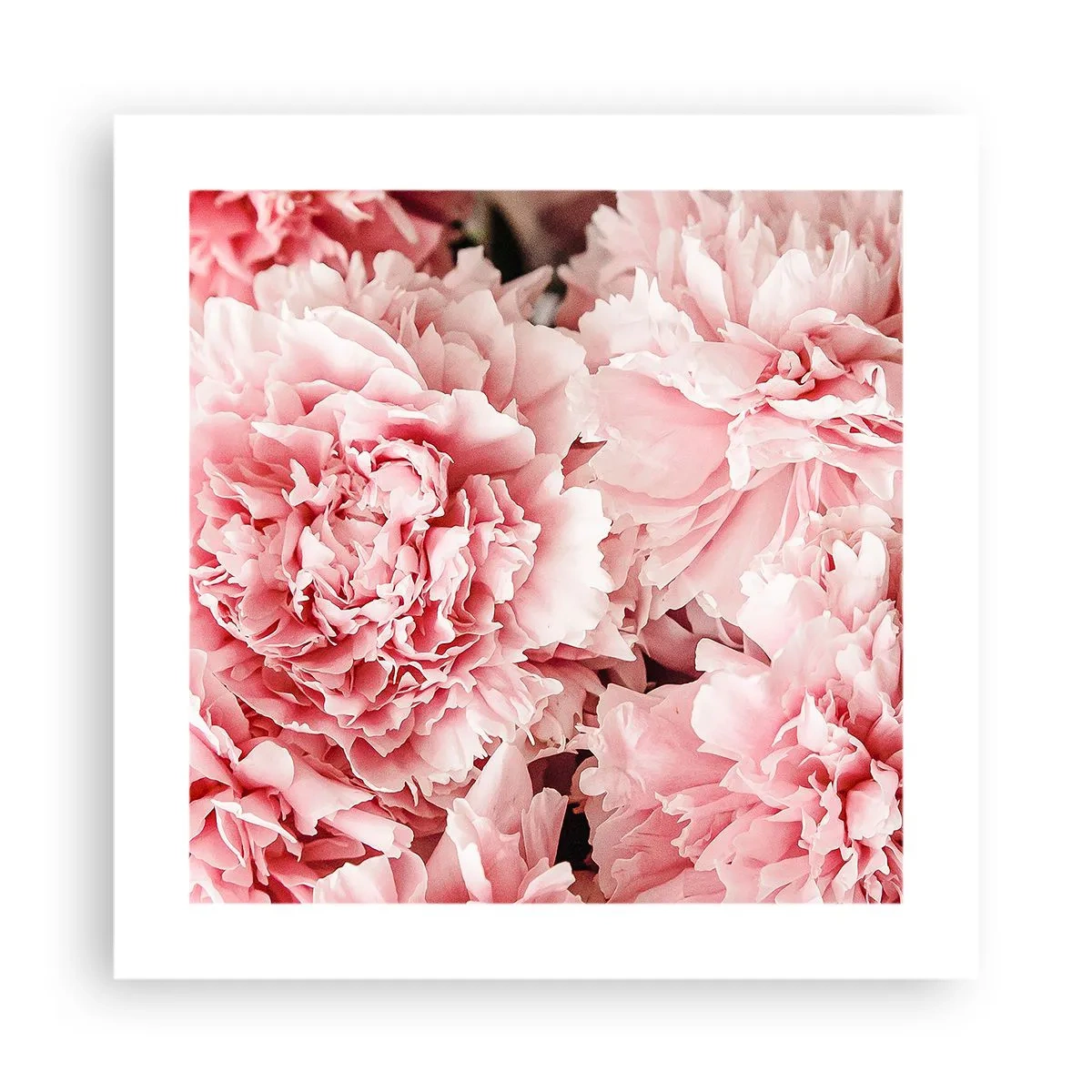 Póster - Sueño rosa - 40x40 cm