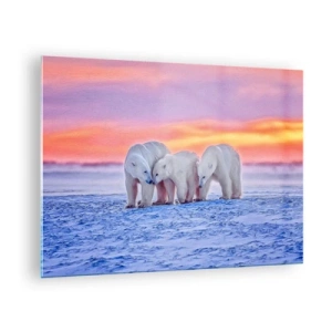 Cuadro sobre vidrio - Impresiones sobre Vidrio - Tres osos polares sobre un fondo nevado al atardecer - 70x50cm - Todo lo que necesitas es el calor de la familia - Decoración de pared moderna para salón y dormitorio ARTTOR