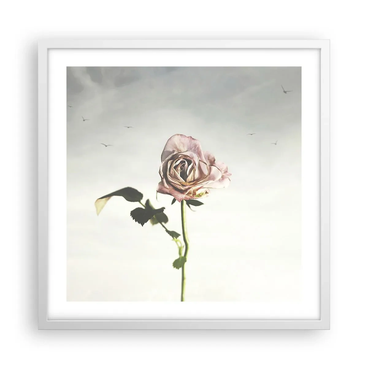 Póster en marco blanco - Bienvenida a la primavera - 50x50 cm