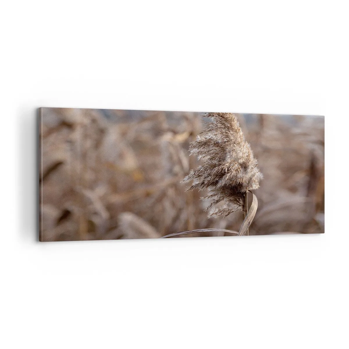 Cuadro sobre lienzo - Impresión de Imagen - Es hora de volar con el viento - 100x40 cm