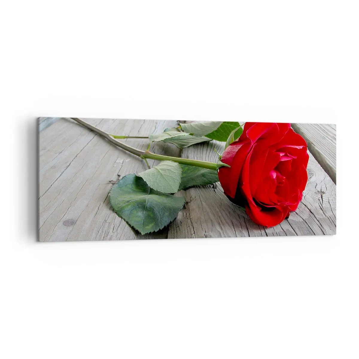 Cuadro sobre lienzo - Impresión de Imagen - Rosa roja sobre un fondo de madera - 140x50cm - Estudio en escarlata - Decoración de pared moderna para salón y dormitorio ARTTOR