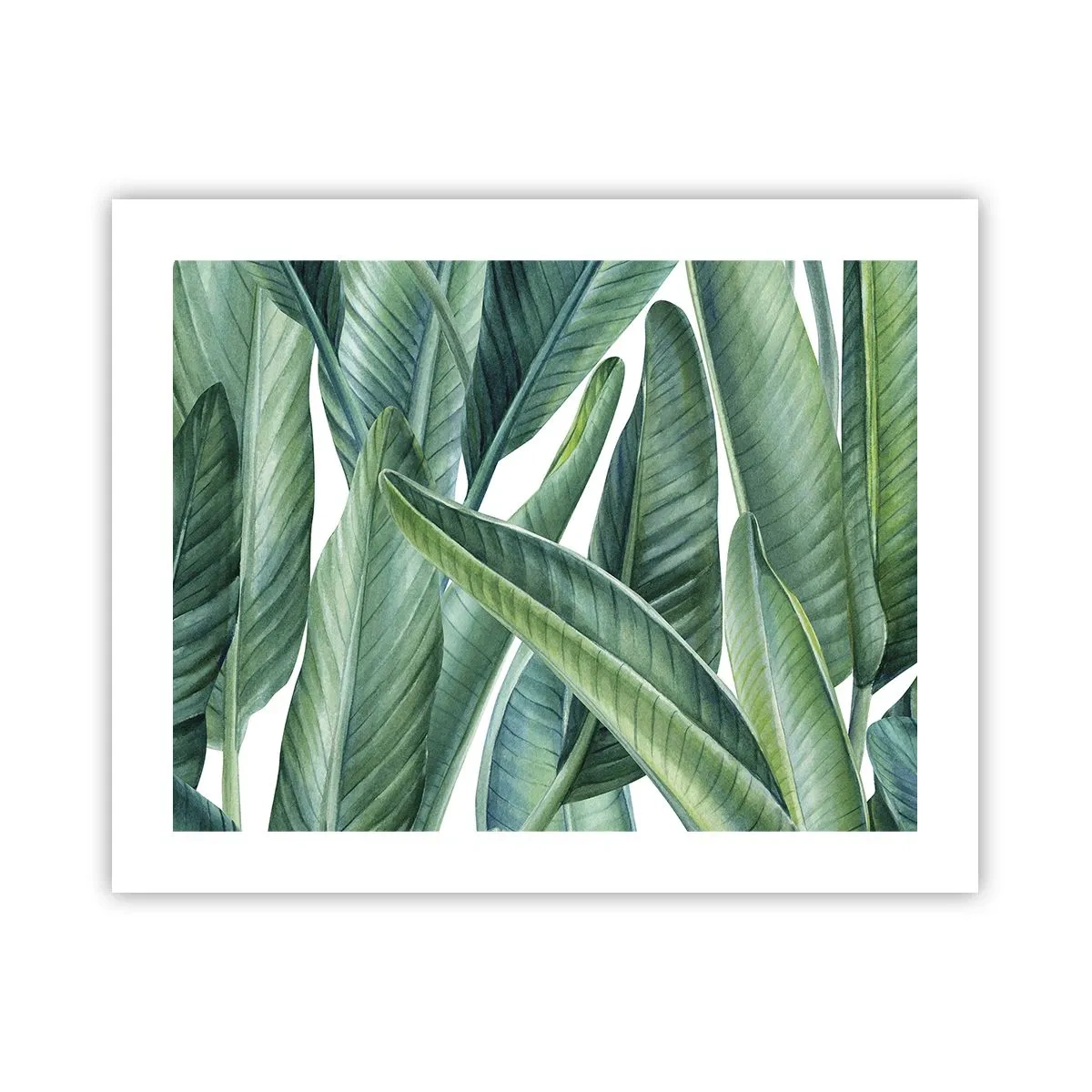 Póster - Vegetación en estado puro - 50x40 cm