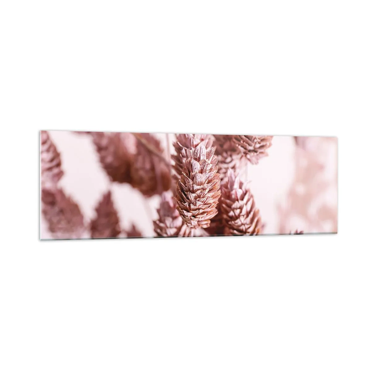 Cuadro sobre vidrio - Impresiones sobre Vidrio - Un primer plano de las delicadas espigas rosadas de las hierbas ornamentales. - 160x50cm - Aparentemente discreto - Decoración de pared moderna para salón y dormitorio ARTTOR