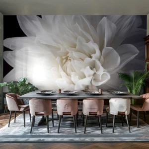 Fotomural Premium Canvas - Una delicada flor blanca sobre un fondo negro en una elegante composición. - 100x70cm - La novia de la mañana - Decoración de pared moderna para salón y dormitorio ARTTOR