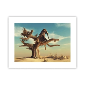 Póster - Un nuevo punto de vista - 40x30 cm