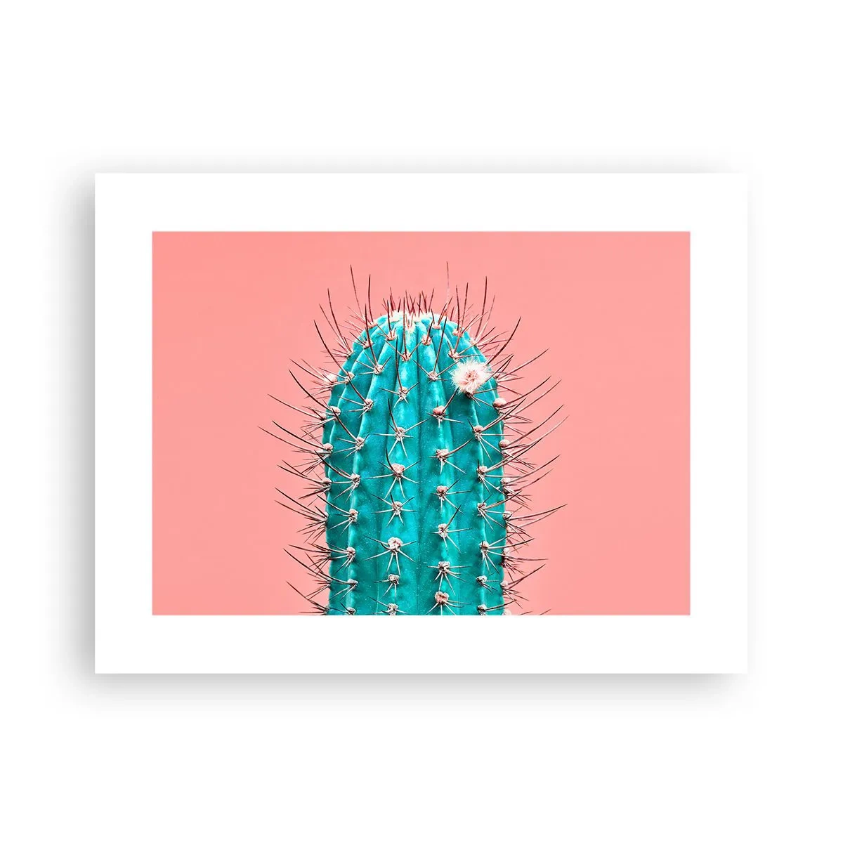 Póster - Se mira, pero no se toca - 40x30 cm