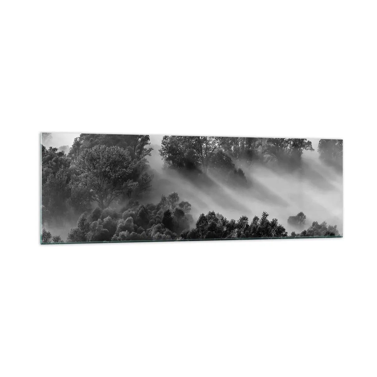 Cuadro sobre vidrio - Impresiones sobre Vidrio - Paisaje forestal en blanco y negro en la niebla matutina - 160x50cm - Levantarse del sueño - Decoración de pared moderna para salón y dormitorio ARTTOR