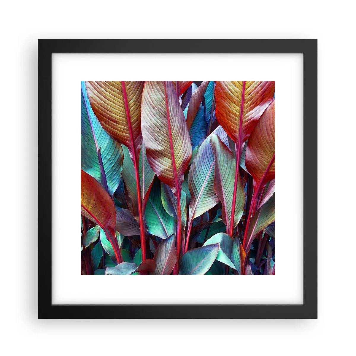 Póster en marco negro - Un matorral de colores - 30x30 cm