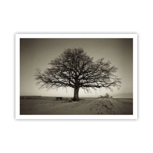 Póster - Un árbol solitario en un campo sepia - 100x70cm - De aquí a la eternidad - Decoración de pared moderna para salón y dormitorio ARTTOR