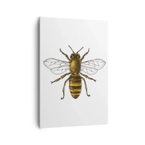 Cuadro sobre lienzo - Impresión de Imagen - Ilustración detallada de una abeja sobre un fondo blanco. - 70x100cm - Bondad natural - Decoración de pared moderna para salón y dormitorio ARTTOR