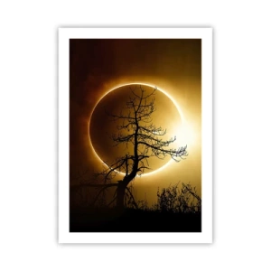 Póster - Una puesta de sol fenomenal con un árbol en primer plano. - 50x70cm - Eclipse total - Decoración de pared moderna para salón y dormitorio ARTTOR