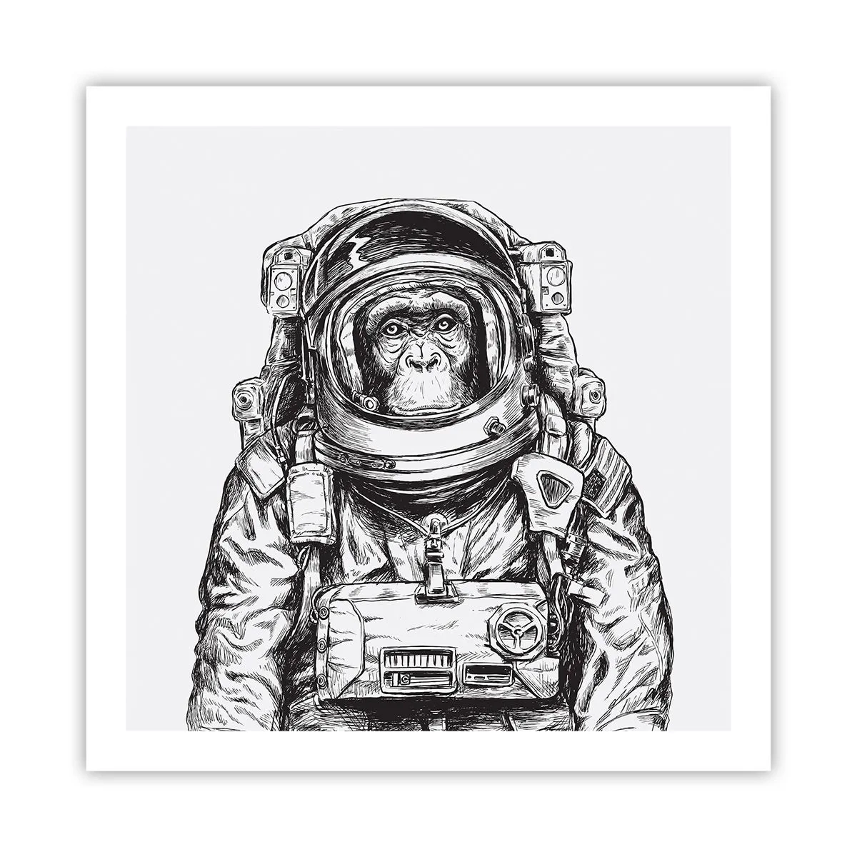 Póster - Evolución alternativa - 60x60 cm