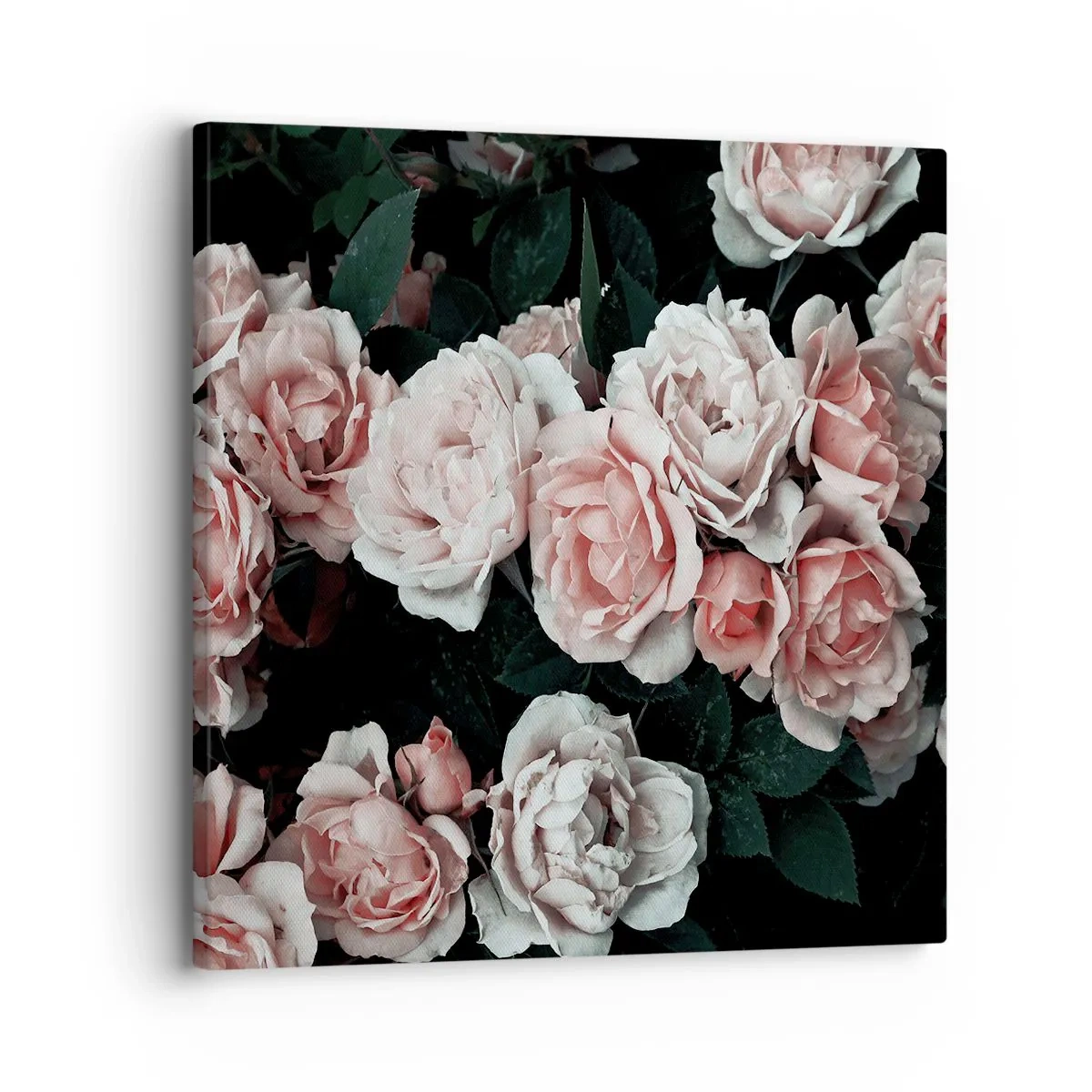 Cuadro sobre lienzo - Impresión de Imagen - Conjunto de rosas - 30x30 cm