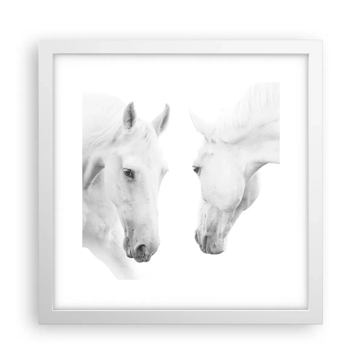 Póster en marco blanco - ¿Es esto realmente la amistad...? - 30x30 cm