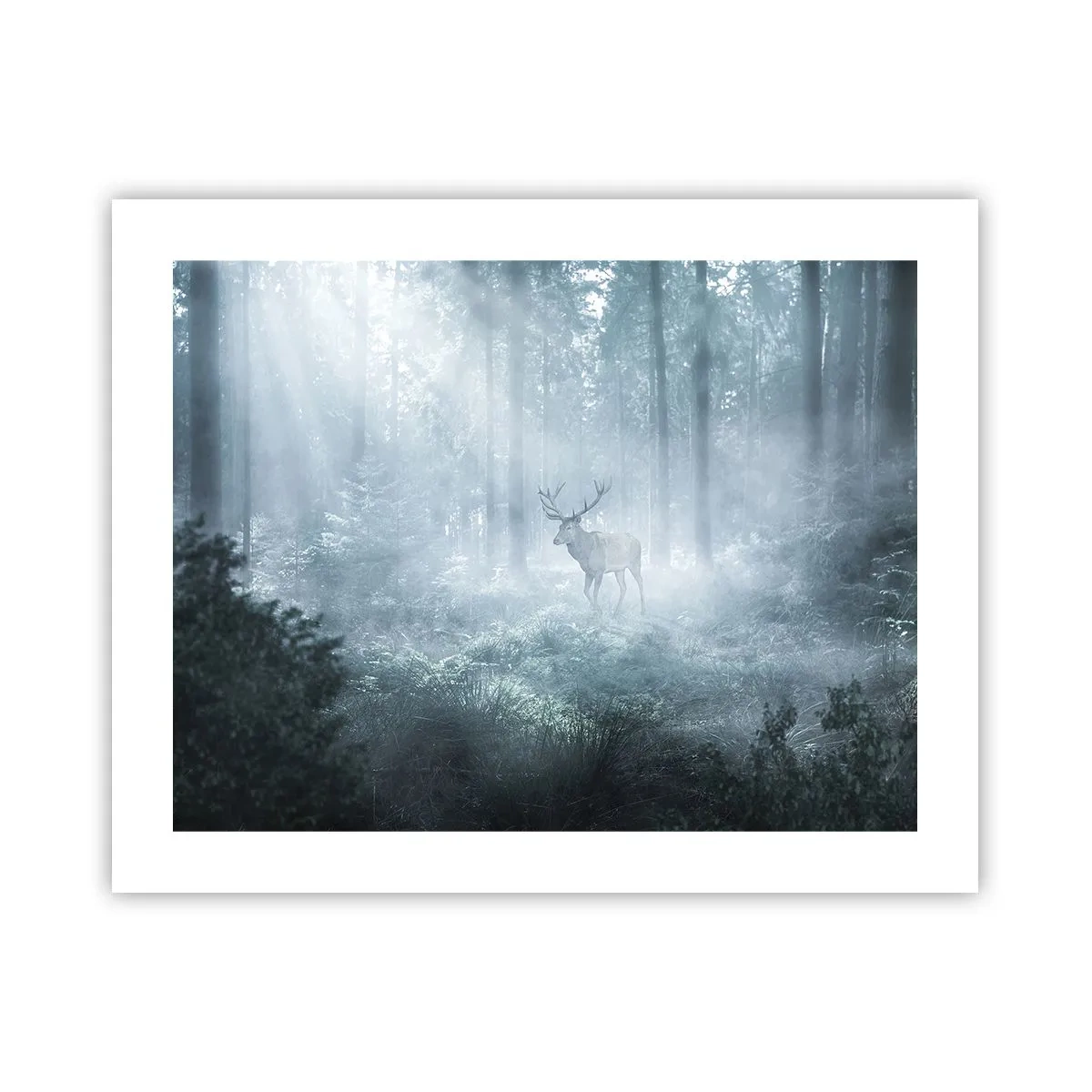 Póster - Ronda matutina por la finca - 50x40 cm