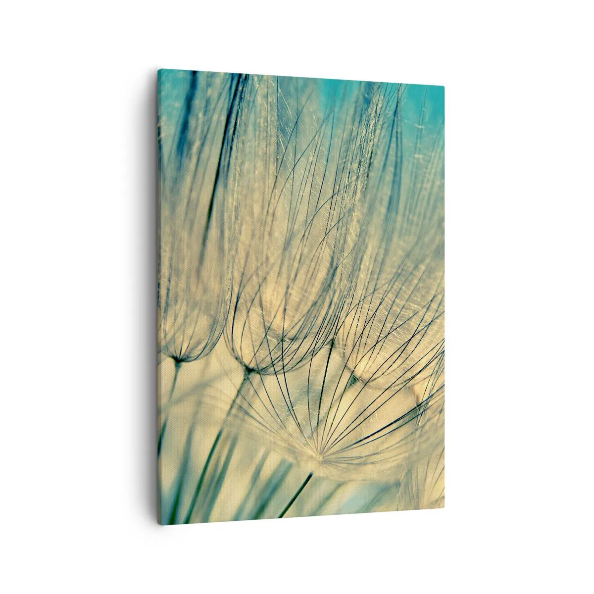 Cuadro sobre lienzo - Impresión de Imagen - Fotografía macro de dientes de león a la luz del día. - 50x70cm - Esperando el viento - Decoración de pared moderna para salón y dormitorio ARTTOR