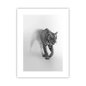 Póster - Siempre alerta entre la niebla - 30x40 cm