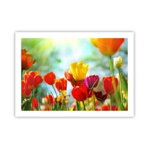 Póster - Todos los tonos del sol - 70x50 cm