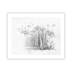 Póster - La luz de un bosque de abedules - 50x40 cm