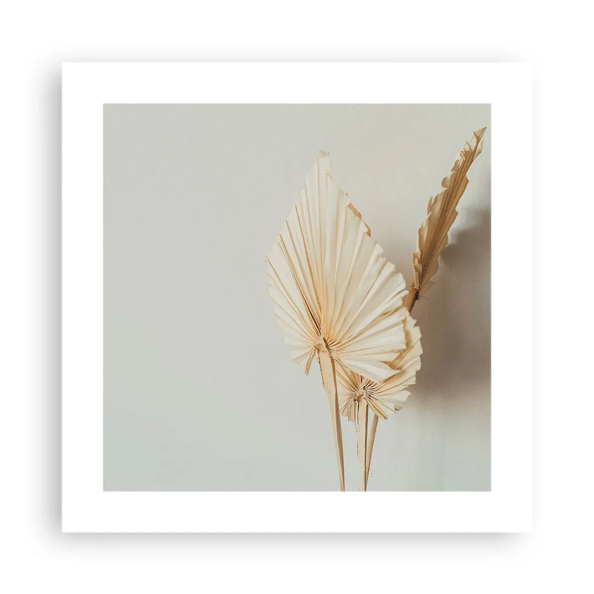 Póster - Armonía y consuelo - 40x40 cm