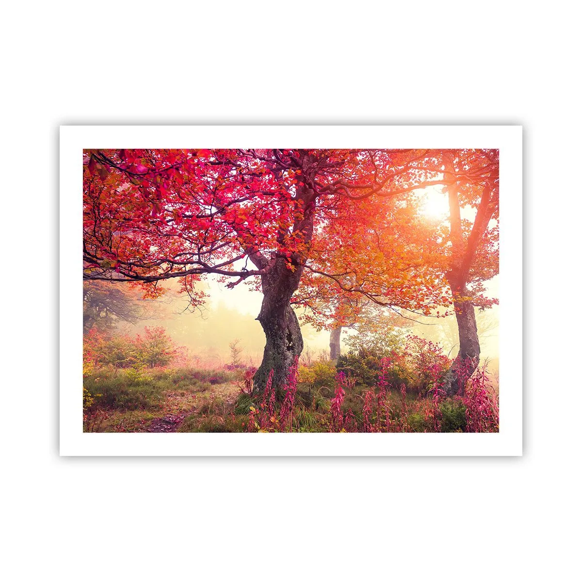 Póster - Un frenesí de floración - 70x50 cm