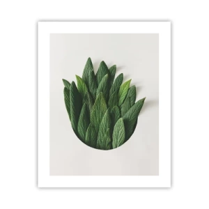 Póster - Curiosidad desenfrenada - 40x50 cm