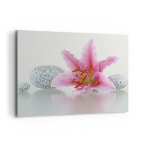 Cuadro sobre lienzo - Impresión de Imagen - Flor de lirio rosa con piedras sobre un fondo claro. - 100x70cm - Estudio en rosa, gris y blanco - Decoración de pared moderna para salón y dormitorio ARTTOR