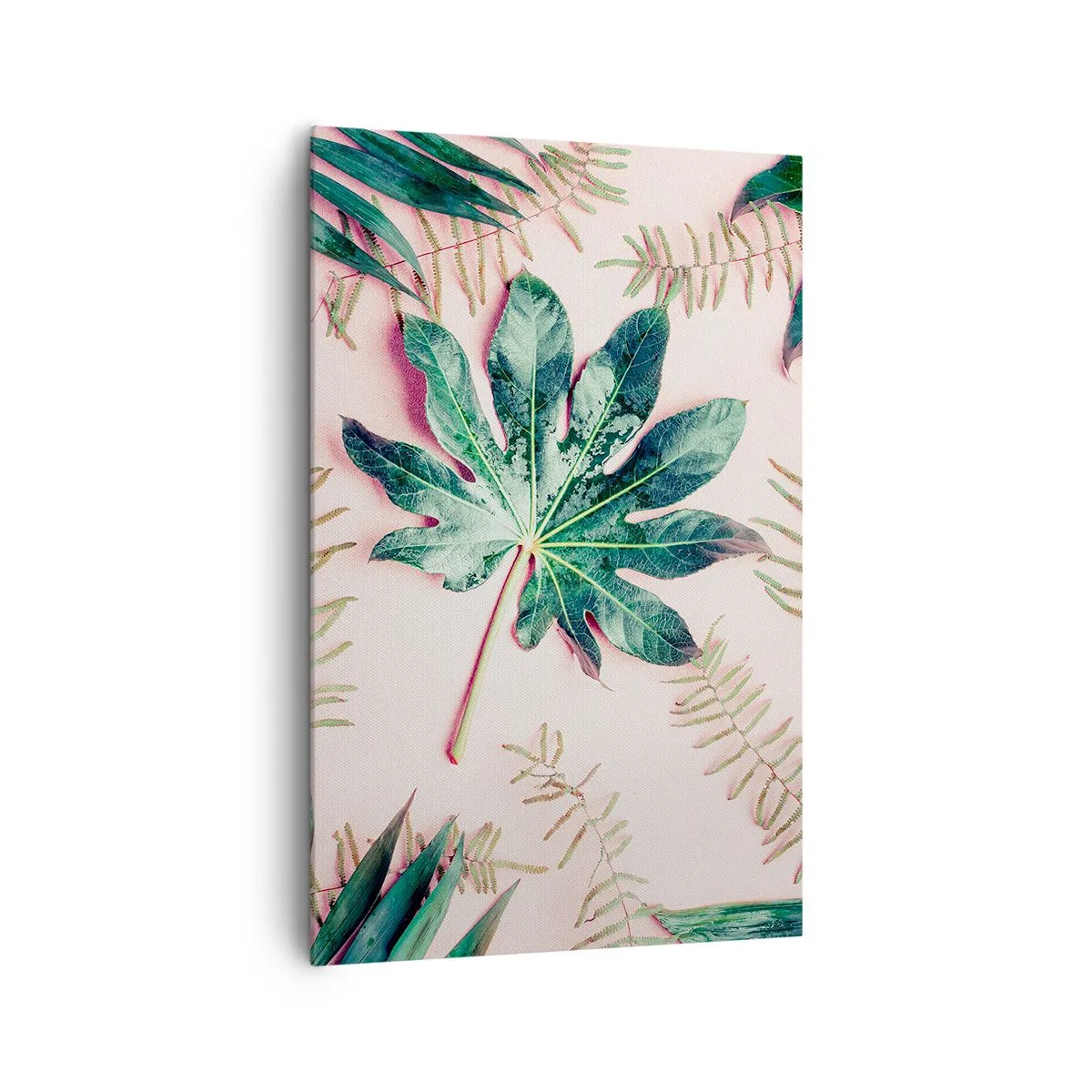 Cuadro sobre lienzo - Impresión de Imagen - Hojas tropicales sobre un fondo pastel claro. - 80x120cm - Estudio de vegetación sobre fondo rosa - Decoración de pared moderna para salón y dormitorio ARTTOR