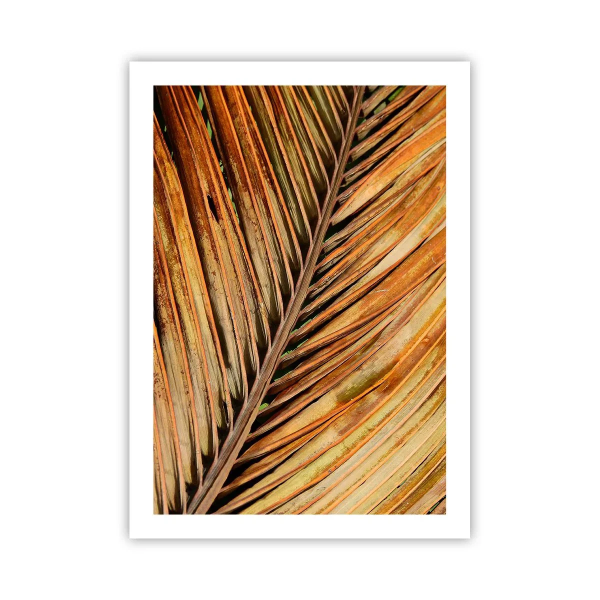 Póster - Un primer plano de una hoja seca en tonos marrones y dorados. - 50x70cm - Oro de coco - Decoración de pared moderna para salón y dormitorio ARTTOR