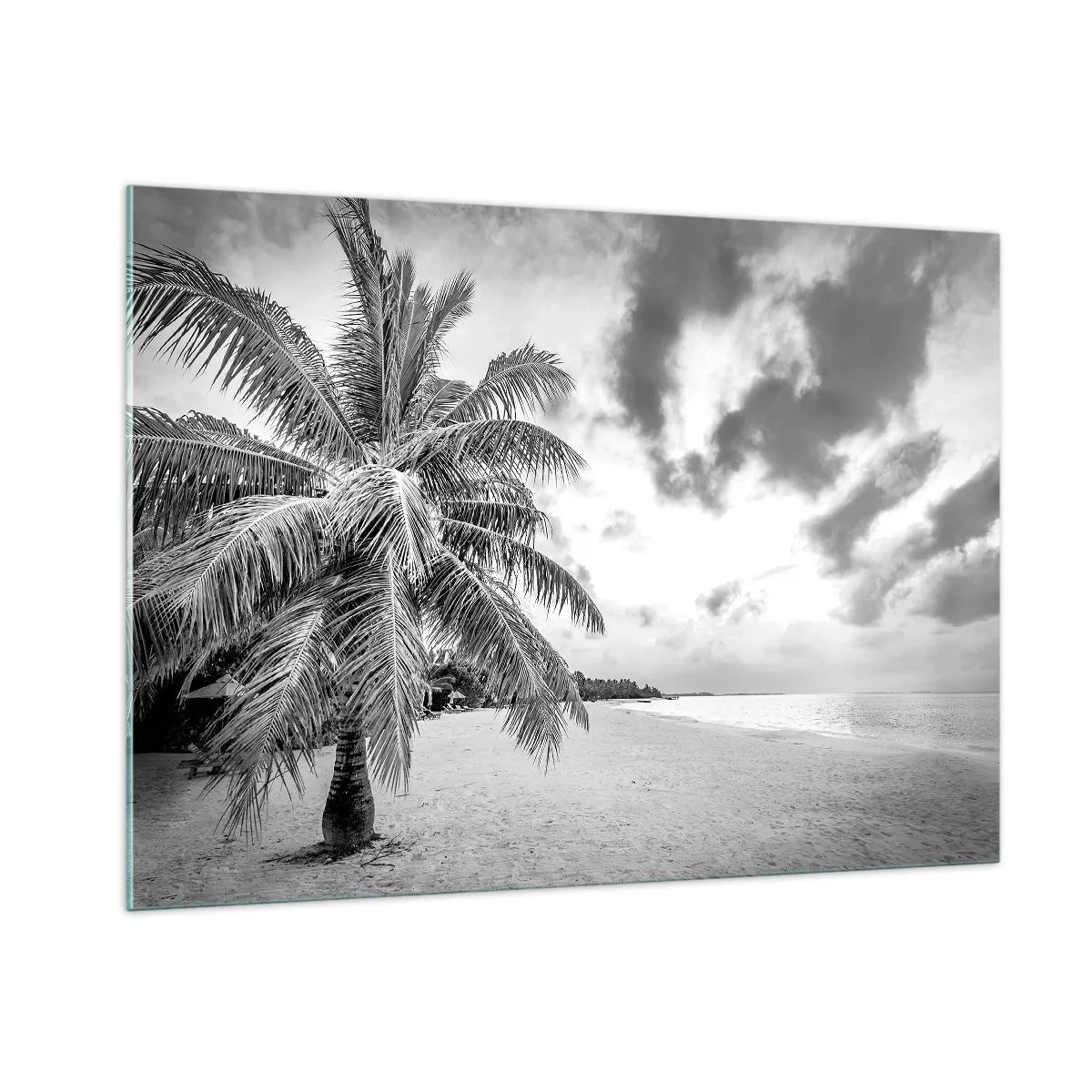 Cuadro sobre vidrio - Impresiones sobre Vidrio - Una palmera blanca y negra en una playa vacía con un cielo nublado. - 100x70cm - Anhelo de soledad.... - Decoración de pared moderna para salón y dormitorio ARTTOR