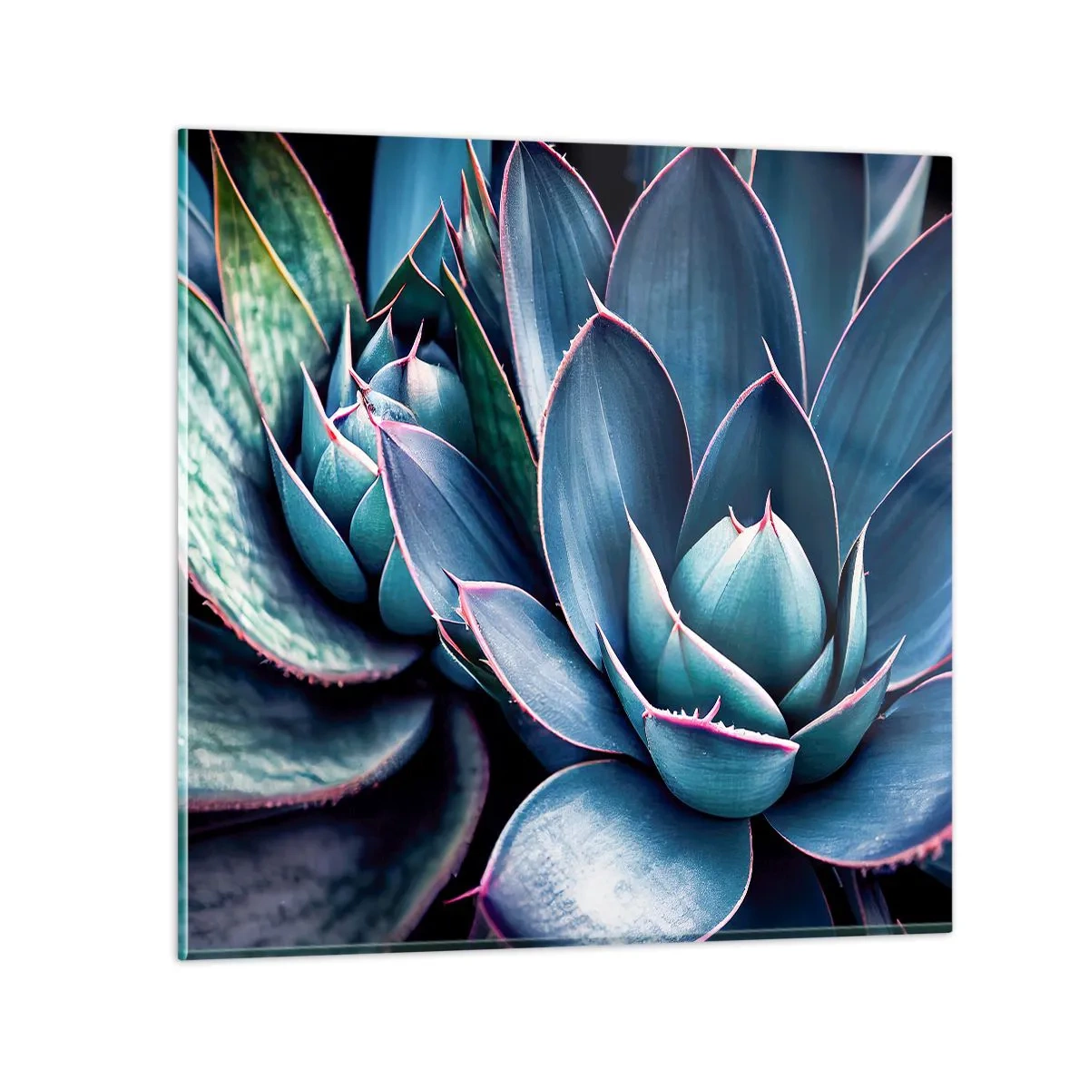 Cuadro sobre vidrio - Impresiones sobre Vidrio - Fuerza vital - 70x70 cm