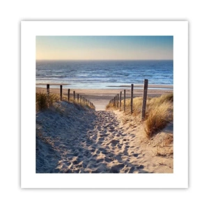 Póster - El sonido del mar, el canto de los pájaros, una playa virgen entre las dunas... - 40x40 cm