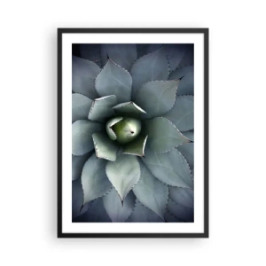 Póster en marco negro - Un primer plano de las hojas simétricas de una suculenta en tonos verdes. - 50x70cm - Perfección natural - Decoración de pared moderna para salón y dormitorio ARTTOR