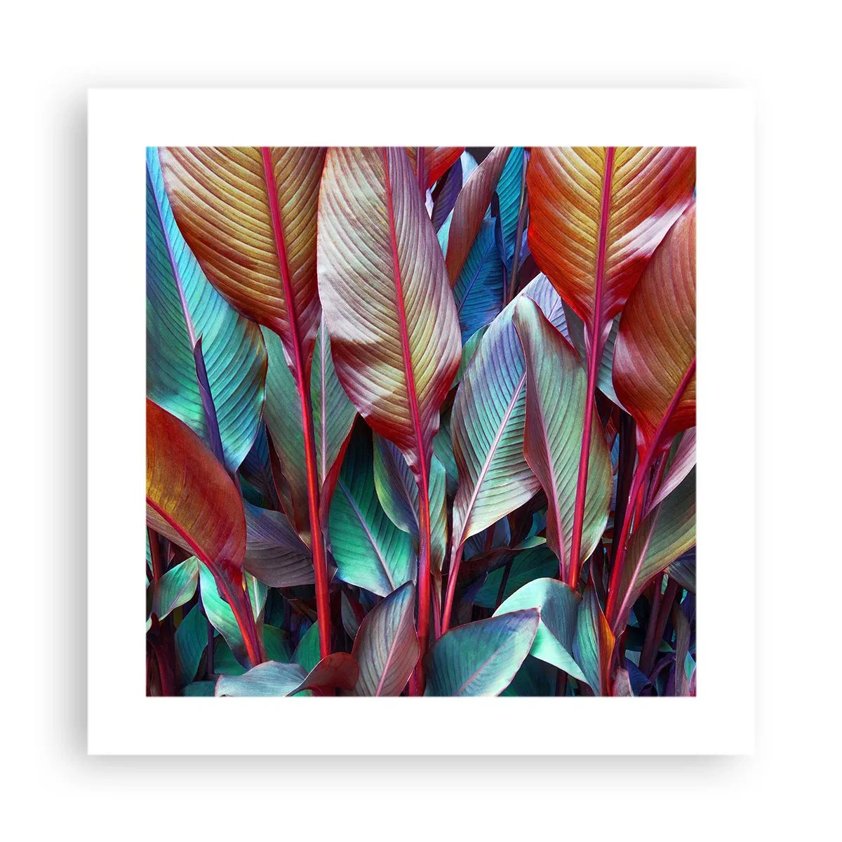 Póster - Un matorral de colores - 40x40 cm