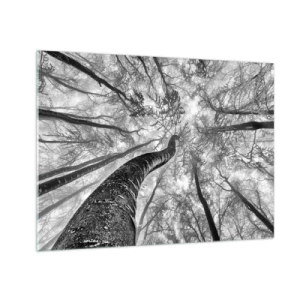 Cuadro sobre vidrio - Impresiones sobre Vidrio - Árboles en blanco y negro fotografiados desde abajo hacia el cielo. - 70x50cm - Carrera hacia la luz - Decoración de pared moderna para salón y dormitorio ARTTOR