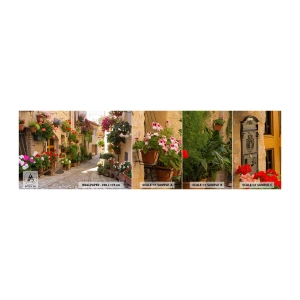Muestra de fotomural autoadhesivo Deluxe Sticker - En un torrente de flores - Ciudad, Italia, hermosas calles - 100x30 cm