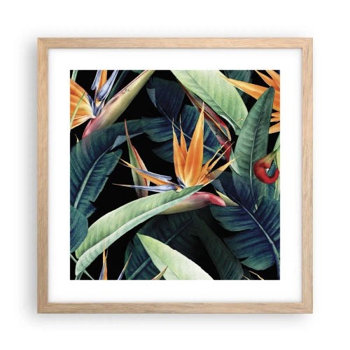 Póster en marco roble claro - Flores de llamas de los trópicos - 40x40 cm
