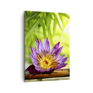 Cuadro sobre lienzo - Impresión de Imagen - Flor de loto púrpura sobre un fondo de hojas de bambú verdes. - 50x70cm - Bajo el sol de Asia - Decoración de pared moderna para salón y dormitorio ARTTOR