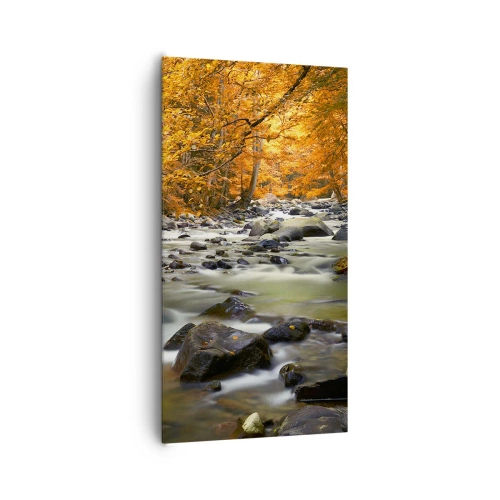 Cuadro sobre lienzo - Impresión de Imagen - Un arroyo en un bosque dorado - 65x120 cm