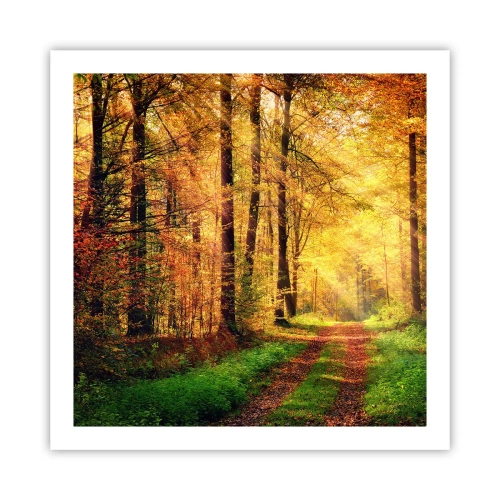 Póster - Silencio dorado del bosque - 60x60 cm