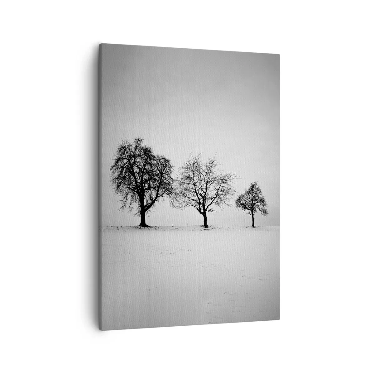 Cuadro sobre lienzo - Impresión de Imagen - Tres árboles en un campo nevado en estilo monocromático. - 50x70cm - ¿Con qué sueñan? - Decoración de pared moderna para salón y dormitorio ARTTOR
