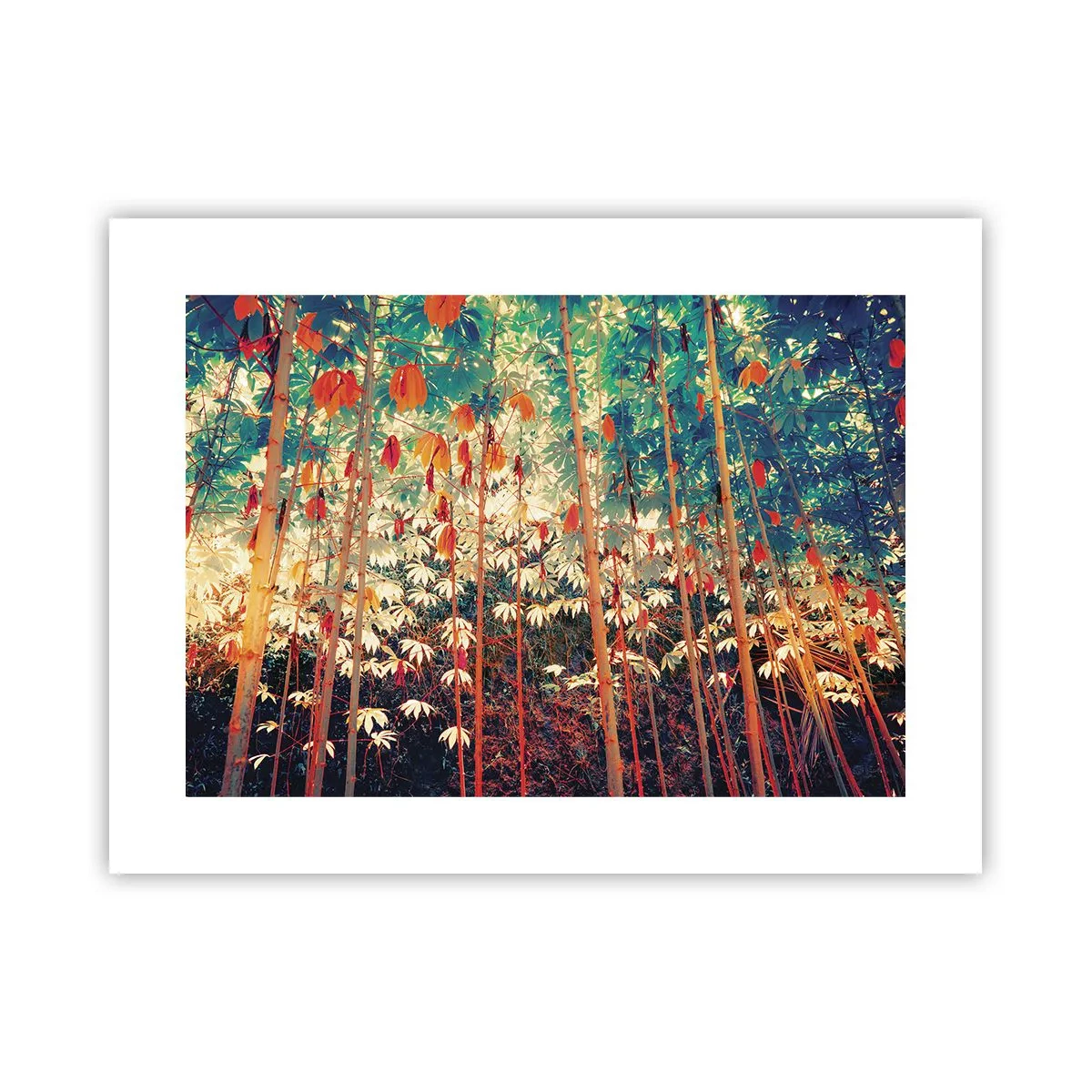 Póster - La vida secreta de las hojas - 40x30 cm