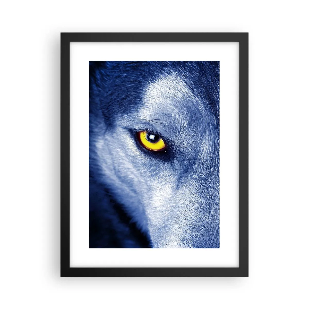 Póster en marco negro - La mirada hipnótica - 30x40 cm