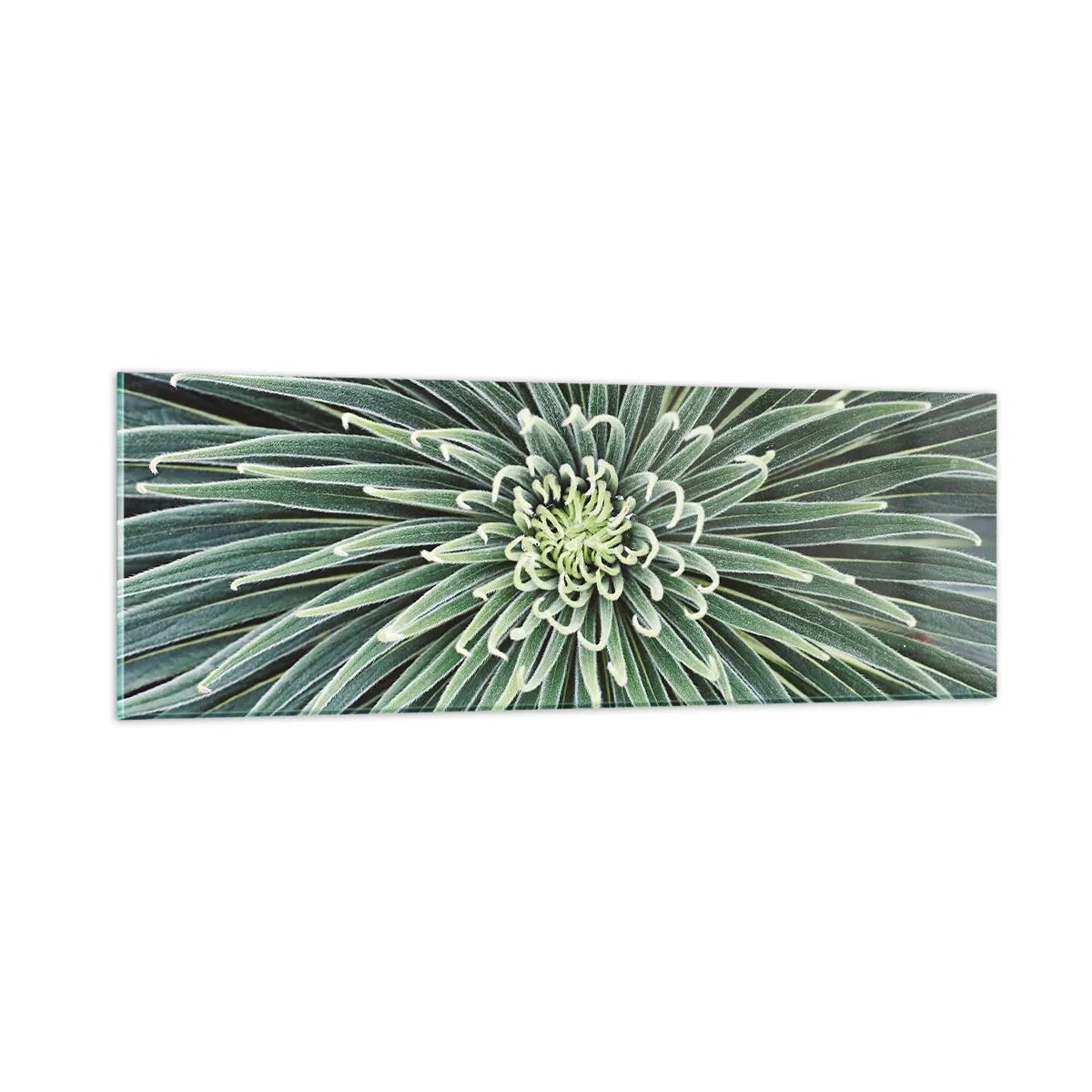 Cuadro sobre vidrio - Impresiones sobre Vidrio - El nacimiento de una estrella - 90x30 cm